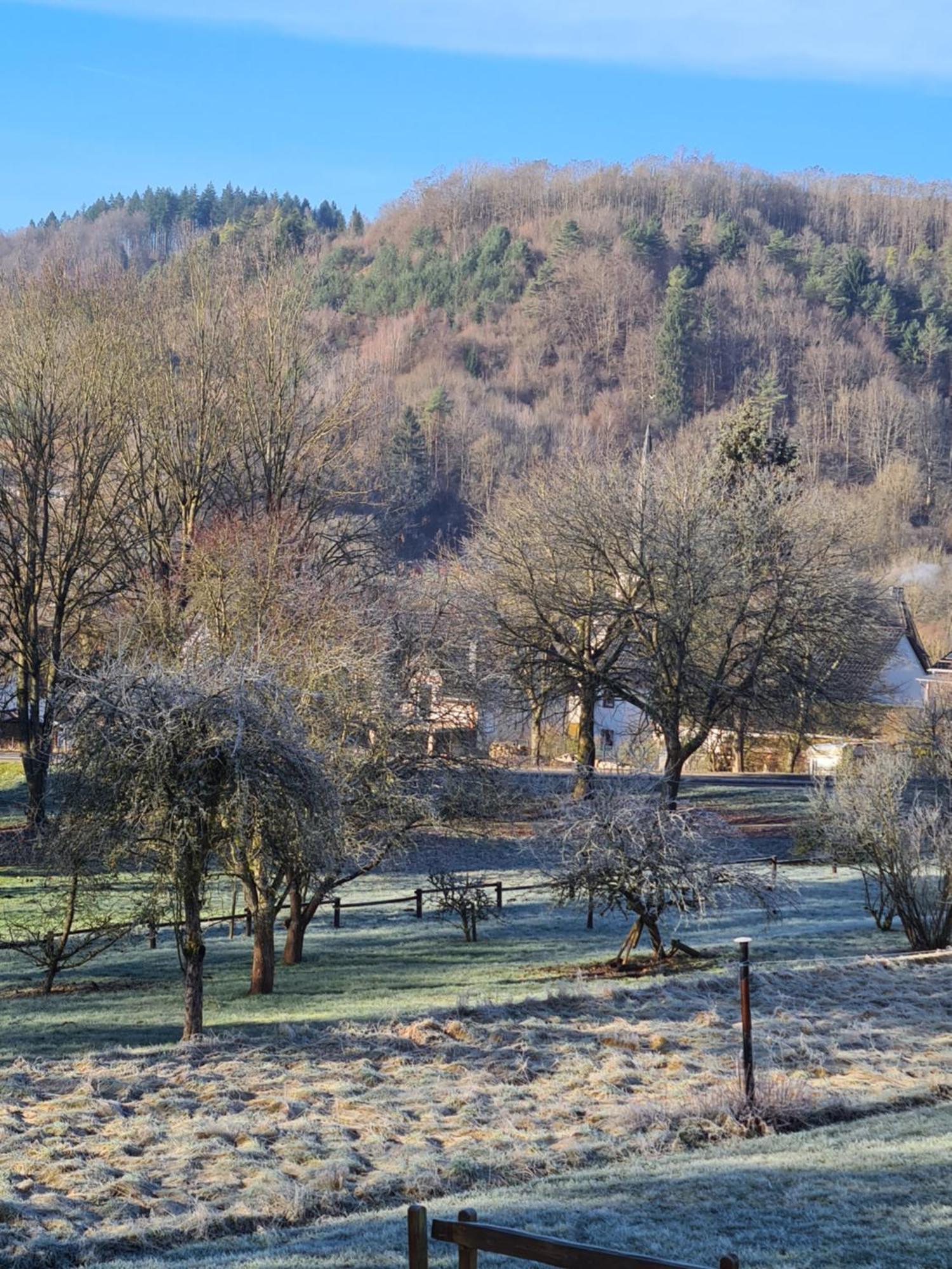 Ferienwohnung Burgblick Pelm 外观 照片